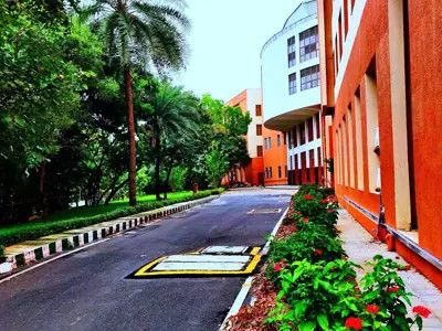 IISc - Indian Institute of Science Bangalore: A scenic street lined with trees.